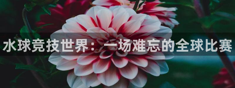 水球竞技世界：一场难忘的全球比赛