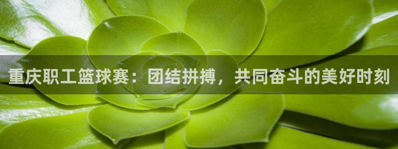  重庆职工篮球赛：团结拼搏，共同奋斗的美好时刻