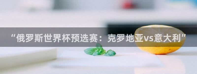  “俄罗斯世界杯预选赛：克罗地亚vs意大利”
