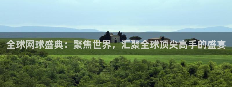  全球网球盛典：聚焦世界，汇聚全球顶尖高手的盛宴
