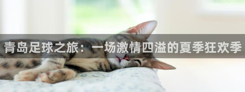  青岛足球之旅：一场激情四溢的夏季狂欢季