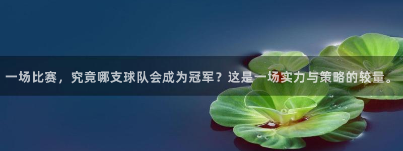 一场比赛，究竟哪支球队会成为冠军？这是一场实力与策略的较量。