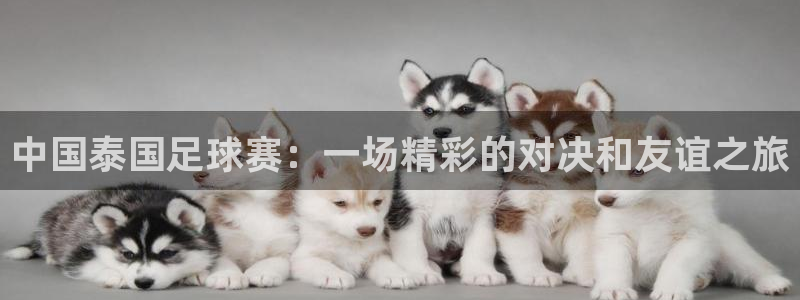 b体育官网爪游：中国泰国足球赛：一场精彩的对决和友谊之旅