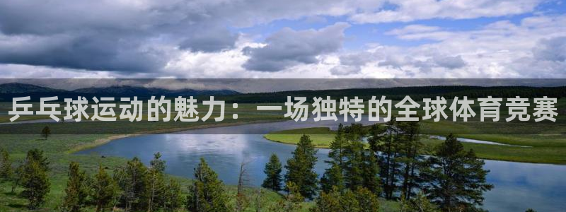  b体育可靠吗：乒乓球运动的魅力：一场独特的全球体育竞赛