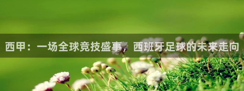 B0B体育安卓下载：西甲：一场全球竞技盛事，西班牙足球的未来