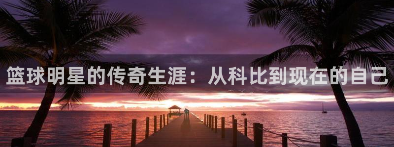 b体育是诈骗平台吗：篮球明星的传奇生涯：从科比到现在的自己