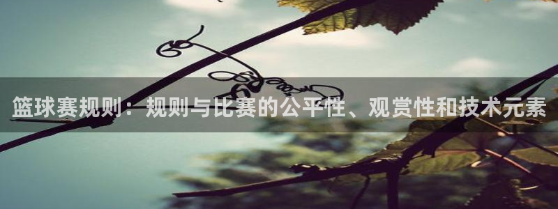 B0B体育官方下载网：篮球赛规则：规则与比赛的公平性、观赏性