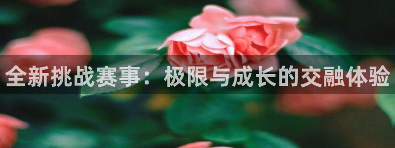 b体育手机版下载：全新挑战赛事：极限与成长的交融体验