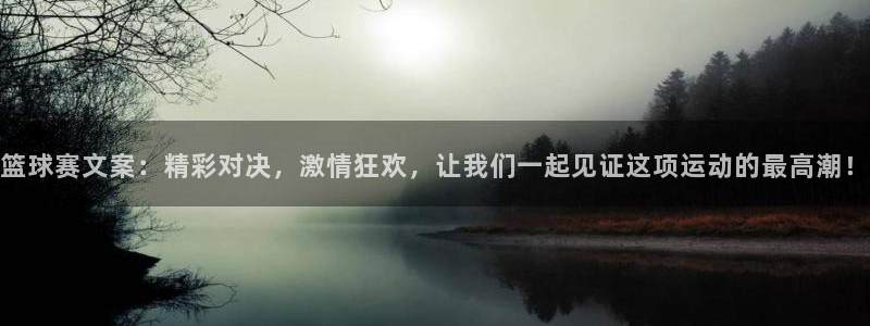 b体育官网注册入口：篮球赛文案：精彩对决，激情狂欢，让我们一