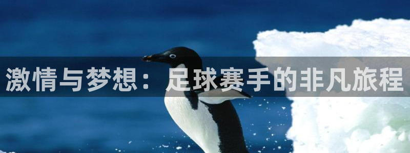  B体育官网在线下载：激情与梦想：足球赛手的非凡旅程