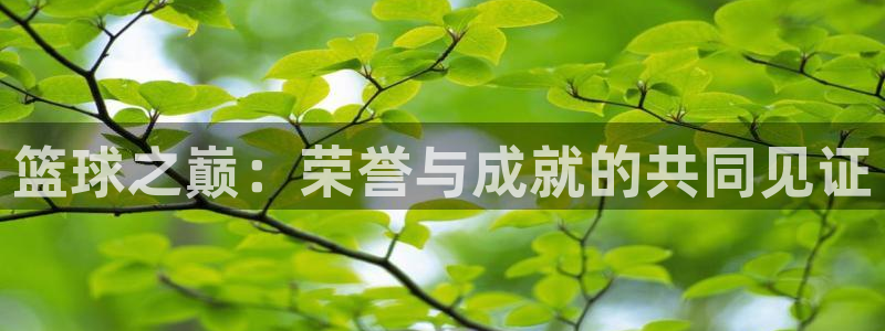  b体育红标下载：篮球之巅：荣誉与成就的共同见证