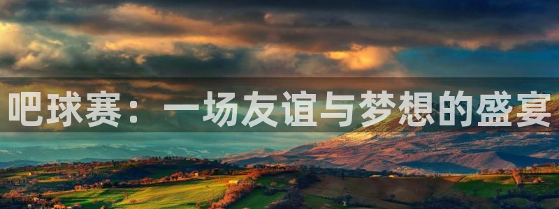 B0B体育网站入口：吧球赛：一场友谊与梦想的盛宴