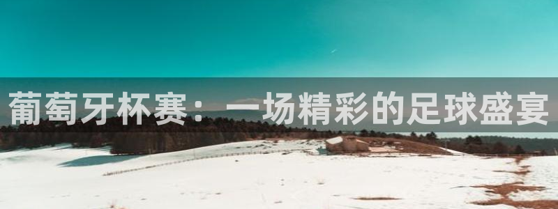 B体育官网入口在线：葡萄牙杯赛：一场精彩的足球盛宴