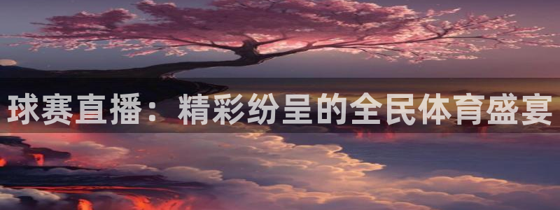  b体育官网入口有新政策了吗：球赛直播：精彩纷呈的全民体育盛宴