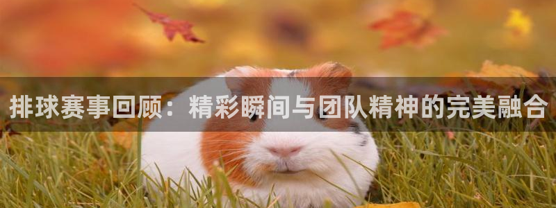  B0b体育中国官方入口：排球赛事回顾：精彩瞬间与团队精神的完