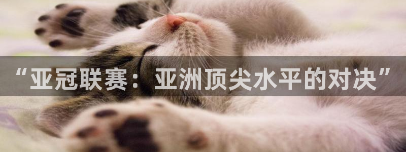 b体育网页版登录入口：“亚冠联赛：亚洲顶尖水平的对决”