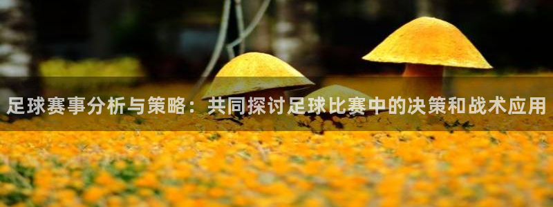  b0b体育综合app下载：足球赛事分析与策略：共同探讨足球比