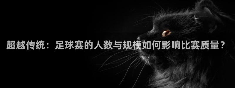  b体育官网入口登录：超越传统：足球赛的人数与规模如何影响比赛