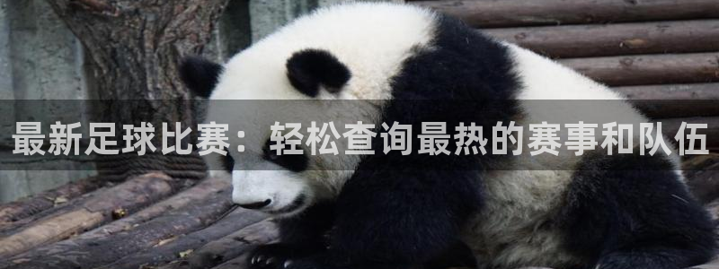  b0b体育综合体育平台：最新足球比赛：轻松查询最热的赛事和队